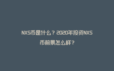 NXS币是什么？2020年投资NXS币前景怎么样？