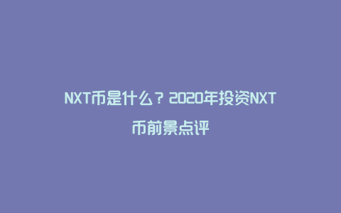 NXT币是什么？2020年投资NXT币前景点评