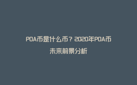 POA币是什么币？2020年POA币未来前景分析