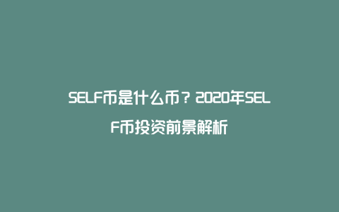 SELF币是什么币？2020年SELF币投资前景解析