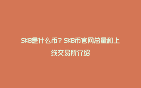 SKB是什么币？SKB币官网总量和上线交易所介绍