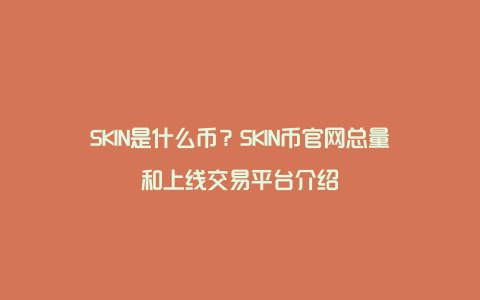 SKIN是什么币？SKIN币官网总量和上线交易平台介绍