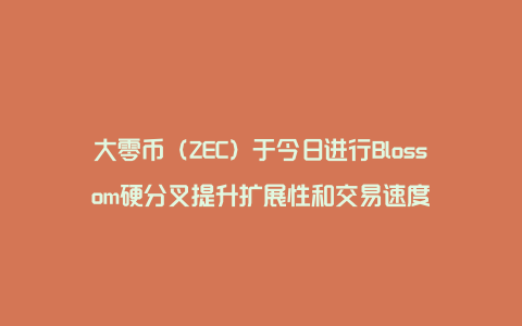 大零币（ZEC）于今日进行Blossom硬分叉提升扩展性和交易速度