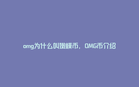 omg为什么叫嫩模币，OMG币介绍