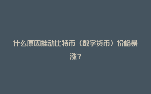 什么原因推动比特币（数字货币）价格暴涨？