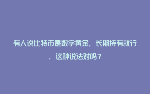 有人说比特币是数字黄金，长期持有就行，这种说法对吗？