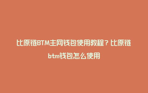 比原链BTM主网钱包使用教程？比原链btm钱包怎么使用