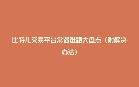 比特儿交易平台常遇难题大盘点（附解决办法）