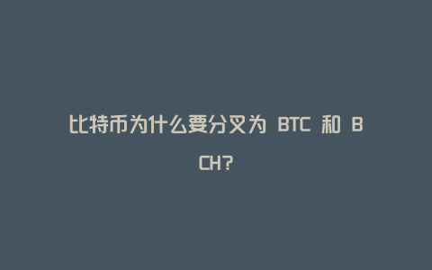 比特币为什么要分叉为 BTC 和 BCH？