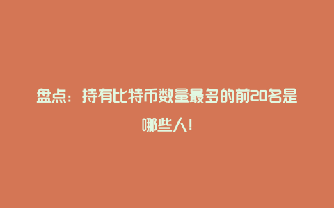 盘点：持有比特币数量最多的前20名是哪些人！