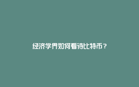 经济学界如何看待比特币？