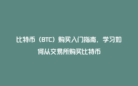 比特币（BTC）购买入门指南，学习如何从交易所购买比特币