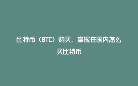 比特币（BTC）购买，掌握在国内怎么买比特币