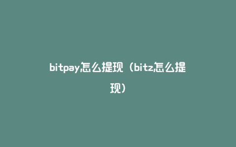 bitpay怎么提现（bitz怎么提现）