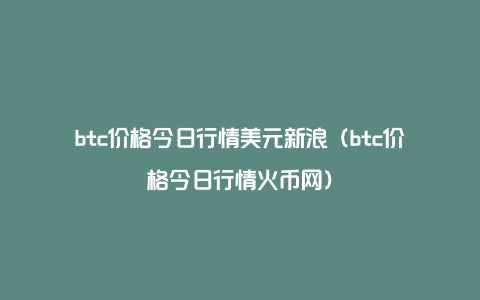 btc价格今日行情美元新浪（btc价格今日行情火币网）