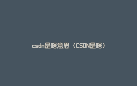 csdn是啥意思（CSDN是啥）