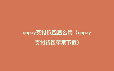 gopay支付钱包怎么用（gopay支付钱包苹果下载）