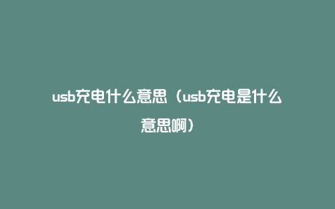 usb充电什么意思（usb充电是什么意思啊）