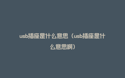 usb插座是什么意思（usb插座是什么意思啊）