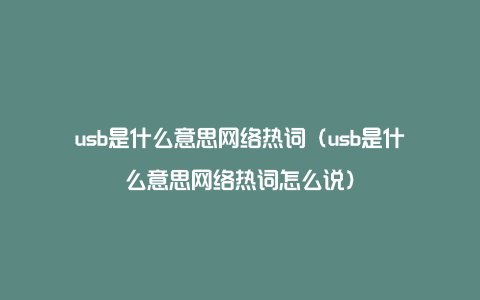 usb是什么意思网络热词（usb是什么意思网络热词怎么说）