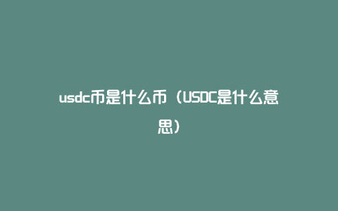 usdc币是什么币（USDC是什么意思）