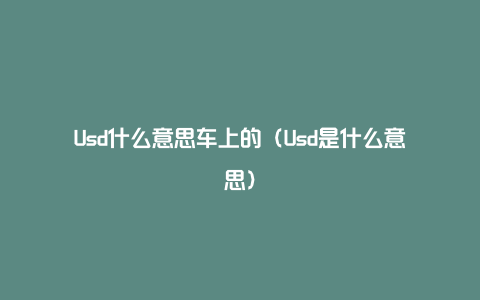 Usd什么意思车上的（Usd是什么意思）