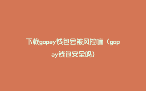 下载gopay钱包会被风控嘛（gopay钱包安全吗）