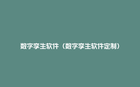 数字孪生软件（数字孪生软件定制）