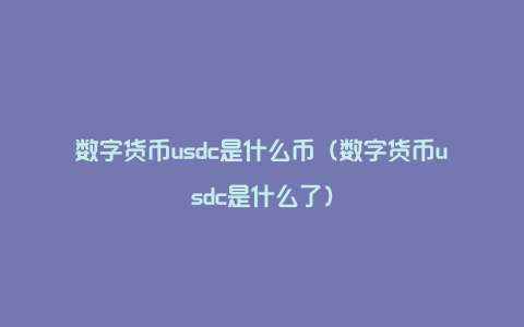 数字货币usdc是什么币（数字货币usdc是什么了）