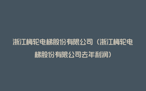 浙江梅轮电梯股份有限公司（浙江梅轮电梯股份有限公司去年利润）