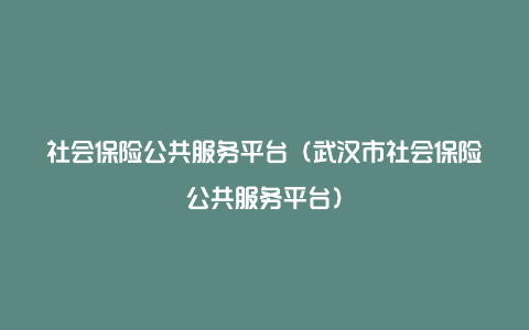 社会保险公共服务平台（武汉市社会保险公共服务平台）