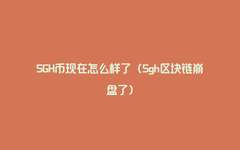 5GH币现在怎么样了（5gh区块链崩盘了）