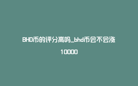 BHD币的评分高吗_bhd币会不会涨10000