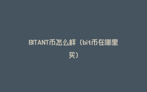 BITANT币怎么样（bit币在哪里买）