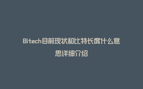 Bitech目前现状和比特长度什么意思详细介绍