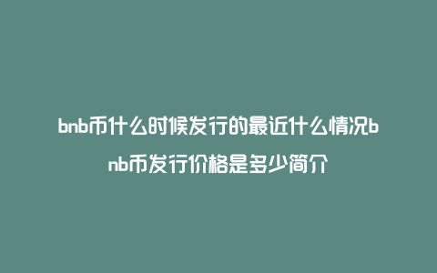 bnb币什么时候发行的最近什么情况bnb币发行价格是多少简介