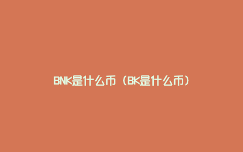 BNK是什么币（BK是什么币）