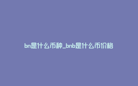 bn是什么币种_bnb是什么币价格