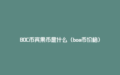 BOC币宾果币是什么（boa币价格）