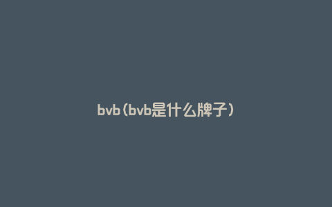 bvb(bvb是什么牌子)