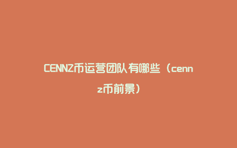 CENNZ币运营团队有哪些（cennz币前景）