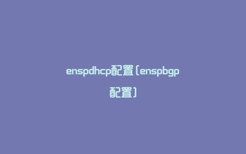 enspdhcp配置[enspbgp配置]