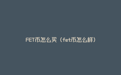 FET币怎么买（fet币怎么样）