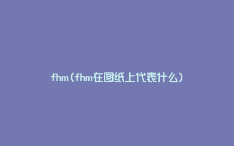 fhm(fhm在图纸上代表什么)