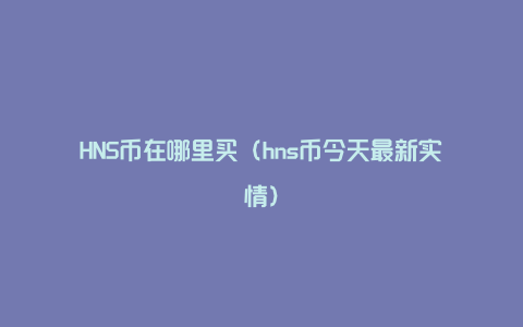 HNS币在哪里买（hns币今天最新实情）