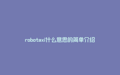 robotaxi什么意思的简单介绍