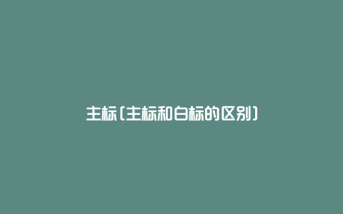 主标[主标和白标的区别]