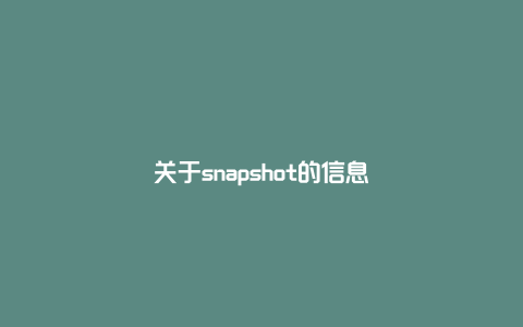 关于snapshot的信息