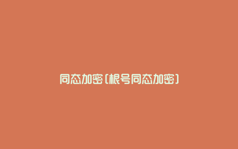 同态加密[根号同态加密]