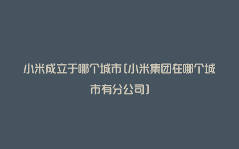 小米成立于哪个城市[小米集团在哪个城市有分公司]